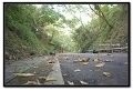 東勢-東豐腳踏車道(東勢段)