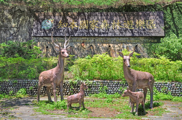 台東-知本國家森林遊樂區 